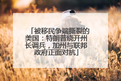 被移民争端撕裂的美国：特朗普绕开州长调兵，加州与联邦政府正面对抗