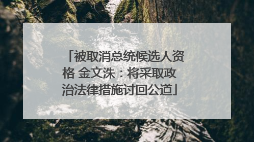 被取消总统候选人资格 金文洙：将采取政治法律措施讨回公道
