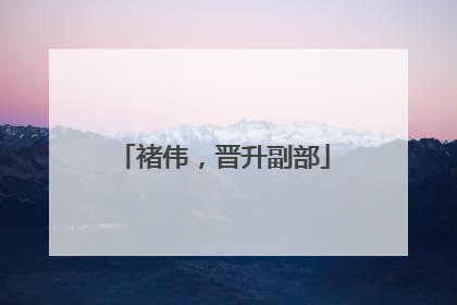 褚伟，晋升副部