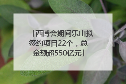 西博会期间乐山拟签约项目22个，总金额超550亿元