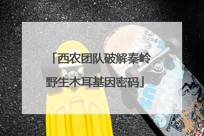 西农团队破解秦岭野生木耳基因密码