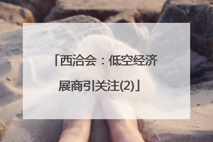 西洽会：低空经济展商引关注(2)
