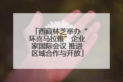 西藏林芝举办“环喜马拉雅”企业家国际会议 推进区域合作与开放
