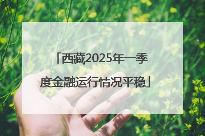 西藏2025年一季度金融运行情况平稳