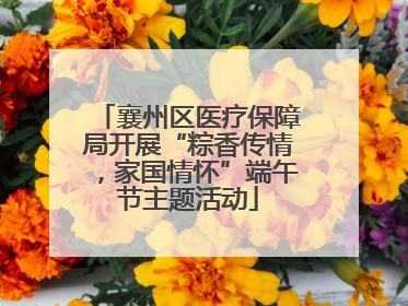 襄州区医疗保障局开展“粽香传情，家国情怀”端午节主题活动