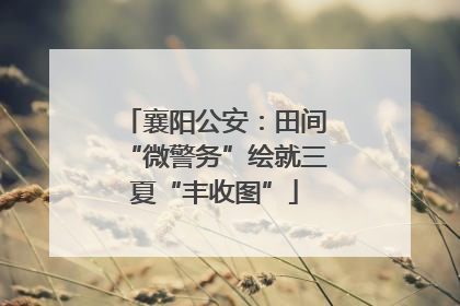 襄阳公安：田间“微警务”绘就三夏“丰收图”