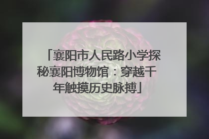 襄阳市人民路小学探秘襄阳博物馆：穿越千年触摸历史脉搏