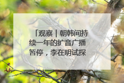 观察｜朝韩间持续一年的扩音广播暂停，李在明试探性将球踢向朝鲜