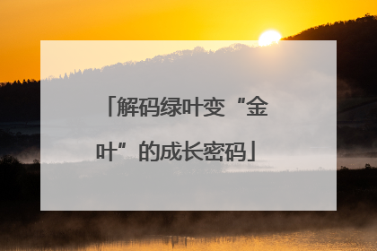 解码绿叶变“金叶”的成长密码