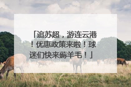 追苏超，游连云港！优惠政策来啦！球迷们快来薅羊毛！