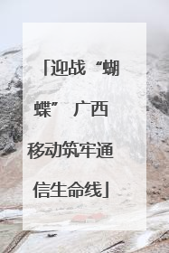 迎战“蝴蝶” 广西移动筑牢通信生命线