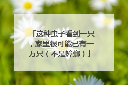这种虫子看到一只，家里很可能已有一万只（不是蟑螂）