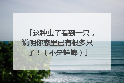 这种虫子看到一只，说明你家里已有很多只了！（不是蟑螂）
