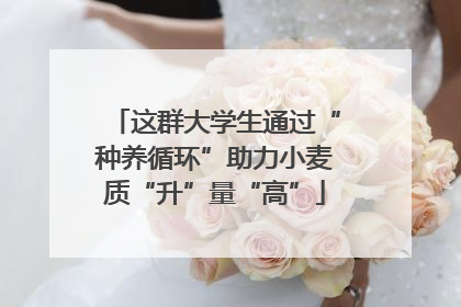 这群大学生通过“种养循环”助力小麦质“升”量“高”