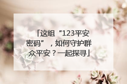 这组“123平安密码”，如何守护群众平安？一起探寻