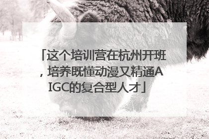 这个培训营在杭州开班，培养既懂动漫又精通AIGC的复合型人才