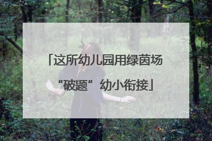 这所幼儿园用绿茵场“破题”幼小衔接