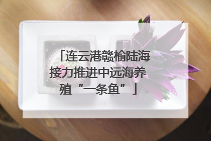 连云港赣榆陆海接力推进中远海养殖“一条鱼”