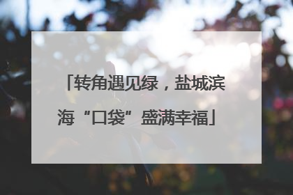 转角遇见绿，盐城滨海“口袋”盛满幸福