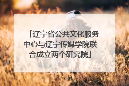 辽宁省公共文化服务中心与辽宁传媒学院联合成立两个研究院