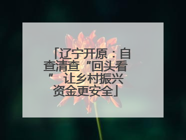 辽宁开原：自查清查“回头看” 让乡村振兴资金更安全