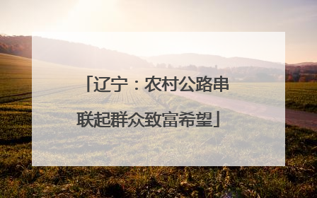 辽宁：农村公路串联起群众致富希望