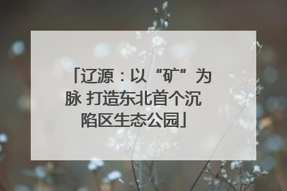 辽源：以“矿”为脉 打造东北首个沉陷区生态公园
