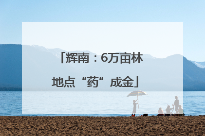辉南：6万亩林地点“药”成金