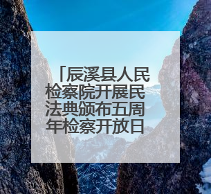 辰溪县人民检察院开展民法典颁布五周年检察开放日活动