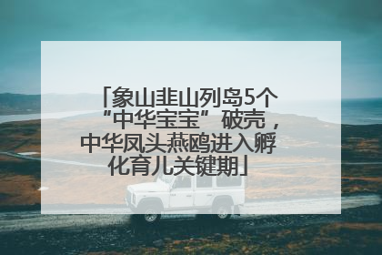 象山韭山列岛5个“中华宝宝”破壳，中华凤头燕鸥进入孵化育儿关键期