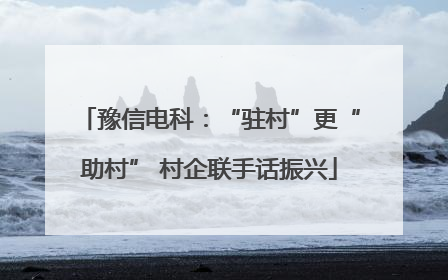 豫信电科：“驻村”更“助村” 村企联手话振兴