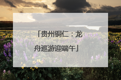 贵州铜仁：龙舟巡游迎端午