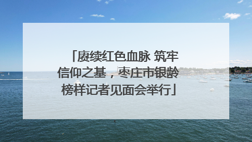 赓续红色血脉 筑牢信仰之基，枣庄市银龄榜样记者见面会举行