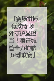 赛场拼搏有激情 场外守护显担当！宿迁城管全力护航足球联赛