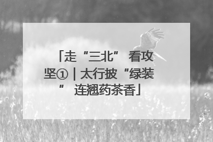 走“三北” 看攻坚①｜太行披“绿装” 连翘药茶香