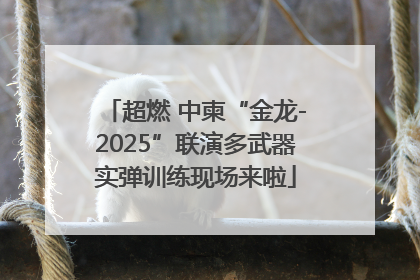 超燃 中柬“金龙-2025”联演多武器实弹训练现场来啦