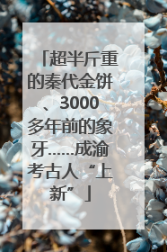 超半斤重的秦代金饼、3000多年前的象牙……成渝考古人“上新”