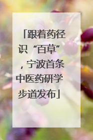 跟着药径识“百草”，宁波首条中医药研学步道发布