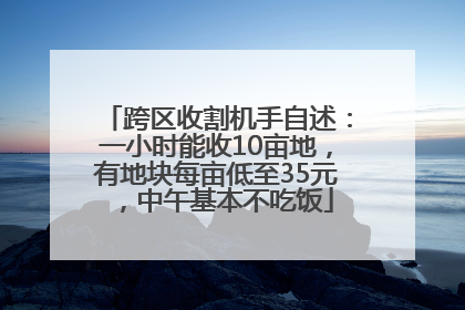跨区收割机手自述：一小时能收10亩地，有地块每亩低至35元，中午基本不吃饭