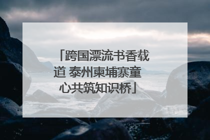 跨国漂流书香载道 泰州柬埔寨童心共筑知识桥