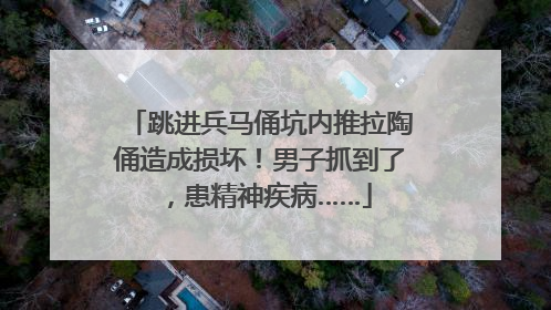 跳进兵马俑坑内推拉陶俑造成损坏！男子抓到了，患精神疾病……