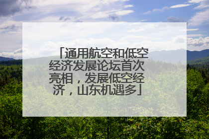 通用航空和低空经济发展论坛首次亮相，发展低空经济，山东机遇多