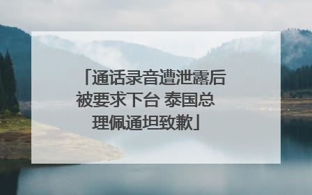 通话录音遭泄露后被要求下台 泰国总理佩通坦致歉