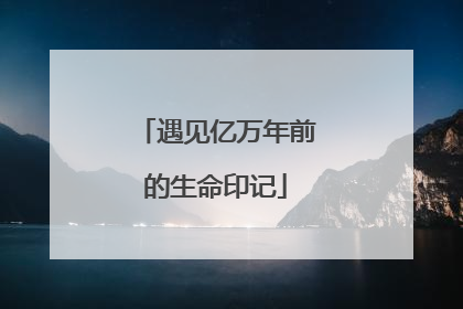 遇见亿万年前的生命印记