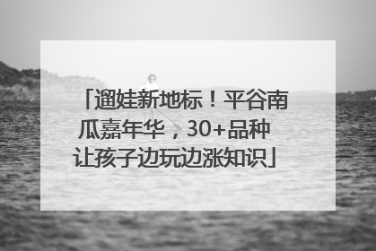 遛娃新地标！平谷南瓜嘉年华，30+品种让孩子边玩边涨知识