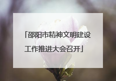 邵阳市精神文明建设工作推进大会召开