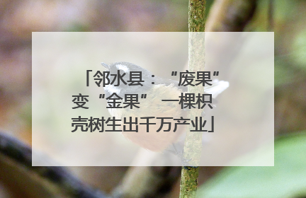 邻水县：“废果”变“金果” 一棵枳壳树生出千万产业