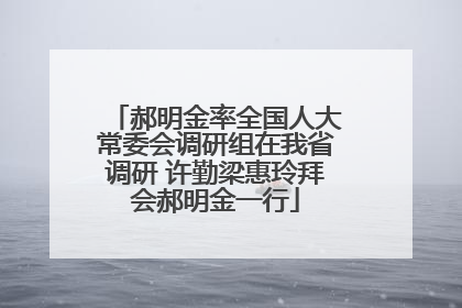郝明金率全国人大常委会调研组在我省调研 许勤梁惠玲拜会郝明金一行