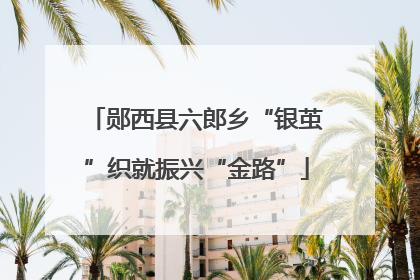 郧西县六郎乡“银茧”织就振兴“金路”