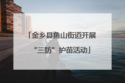金乡县鱼山街道开展“三防”护苗活动